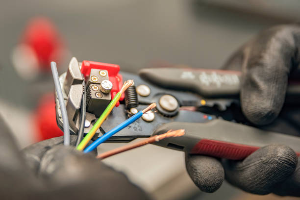 Best Electric Panel Repair  in Roxana, IL