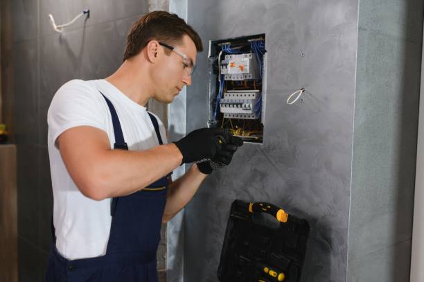Best Electrician for Home Renovation  in Roxana, IL