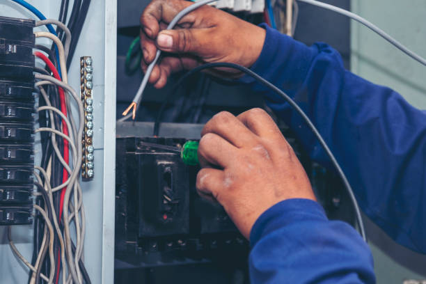 Best Ceiling Fan Installation Electrician  in Roxana, IL