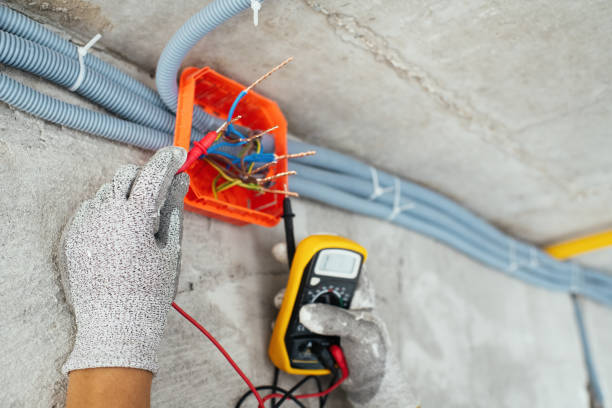 Best Local Electrician Companies  in Roxana, IL
